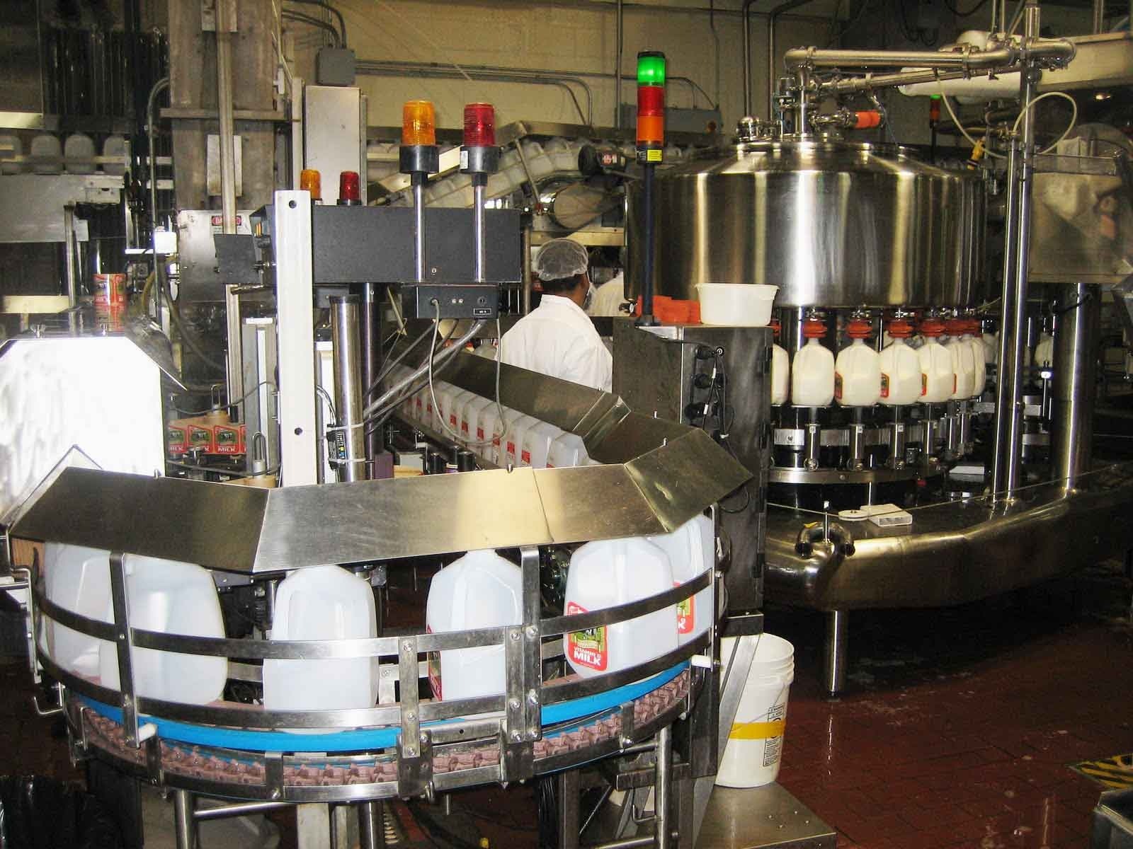 Milk bottles are being processed on a conveyor belt in a dairy factory. Equipment and workers are visible, emphasizing the industrial milk production environment.
